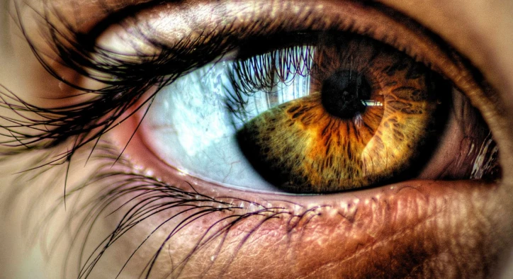 İnsan Gözü Kaç Megapikseldir?