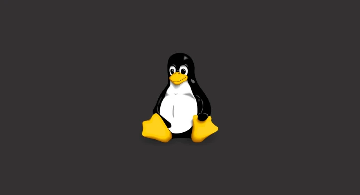 Linux İşletim Sistemi Nedir?