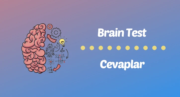Brain Test Soruları ve Cevapları