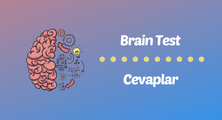 Brain Test Sorulari Ve Cevaplari Teknolojio